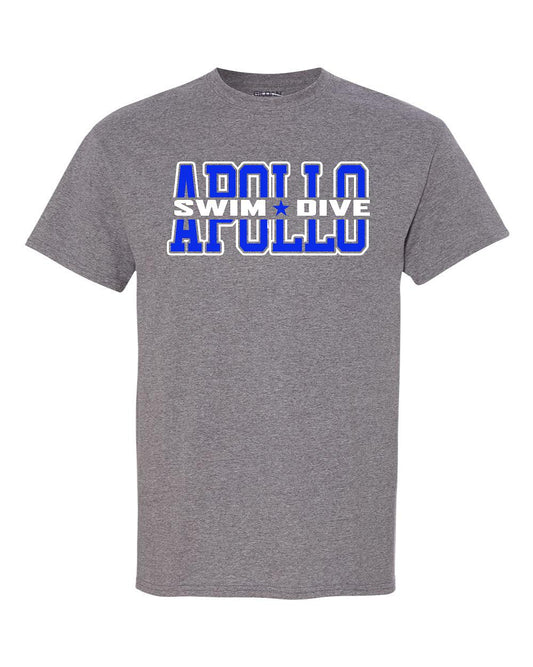Apollo Swim Gray Gildan tee
