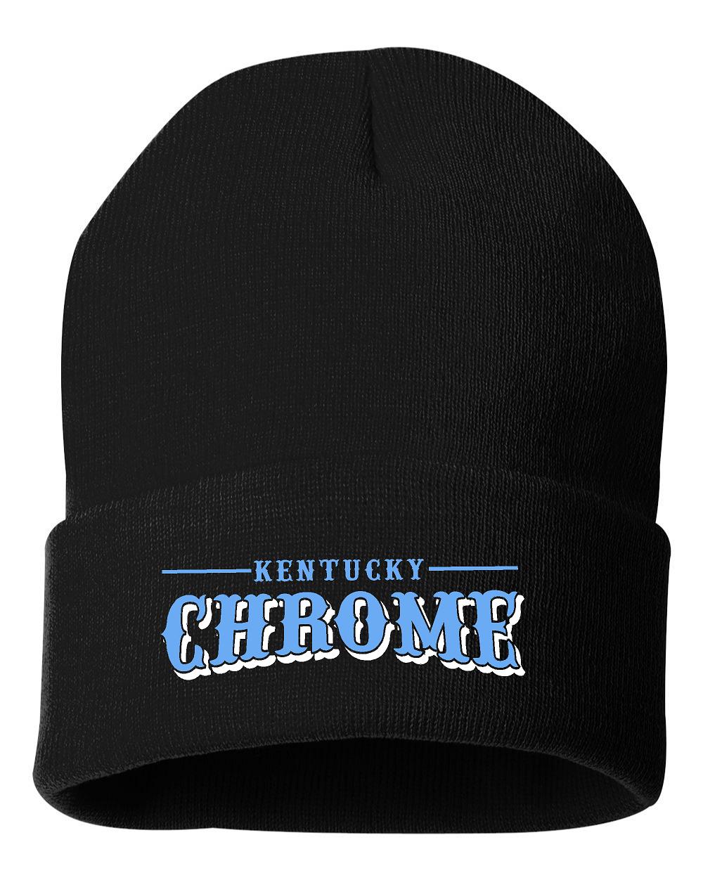 Chrome Beanie